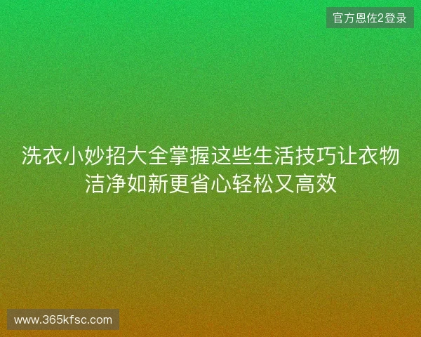 洗衣小妙招大全掌握这些生活技巧让衣物洁净如新更省心轻松又高效